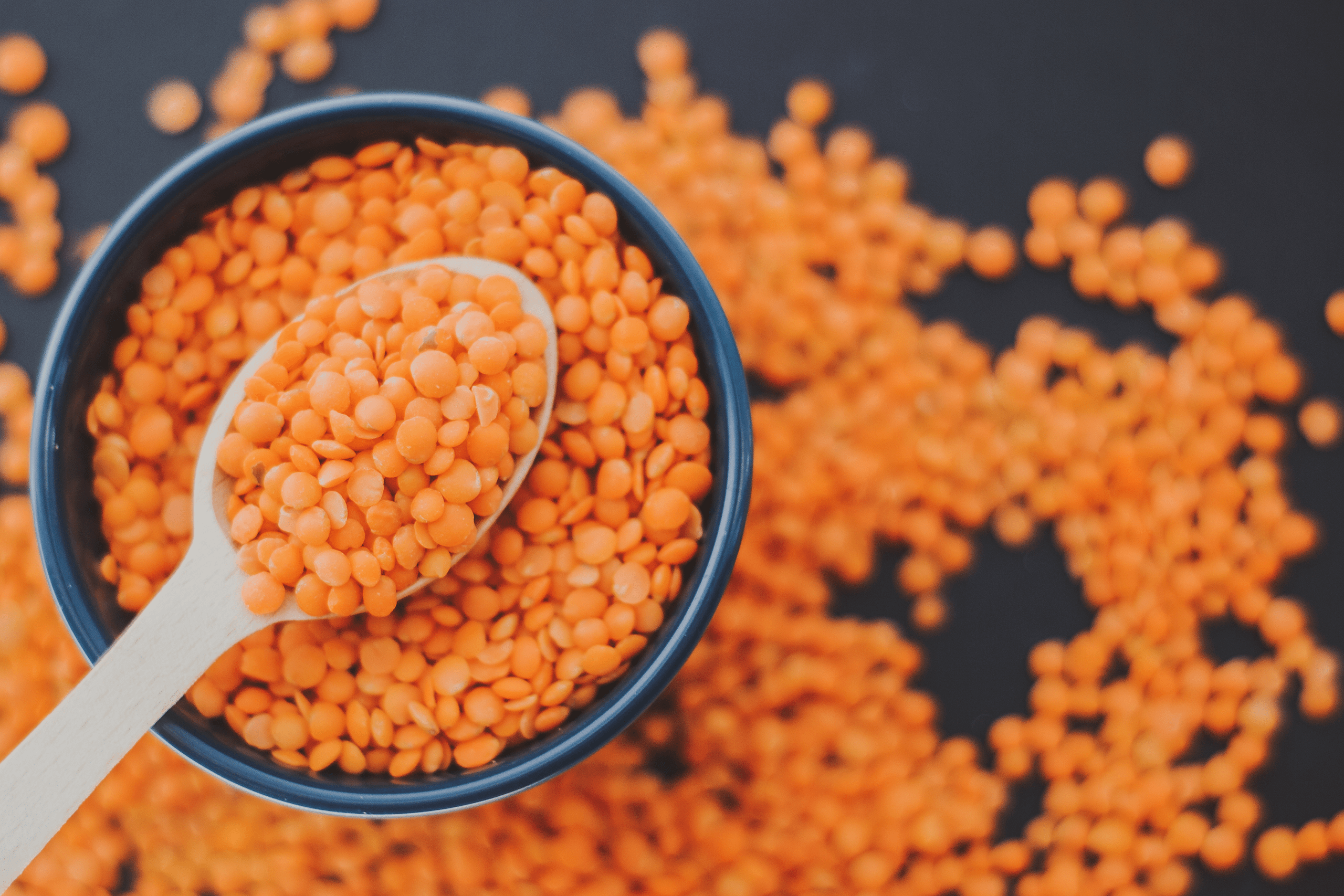 Red Lentil OIT is now available!